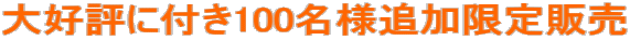 ��D�]�ɕt��100���l�ǉ�����̔� 